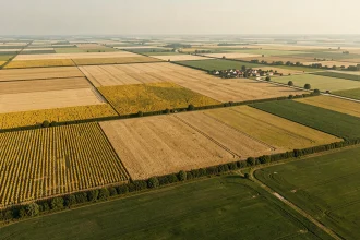 Vue aérienne d'un vaste paysage agricole de 10 000 hectares avec champs de blé et tournesols en Europe